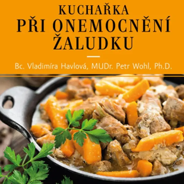 Kuchařka při onemocnění žaludku - Vladimíra Havlová, Petr Wohl - e-kniha