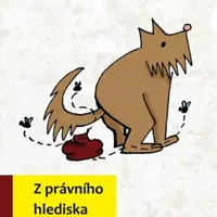 Z právního hlediska neslušné - Cheese