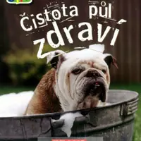 Čistota půl zdraví (edice čti +)