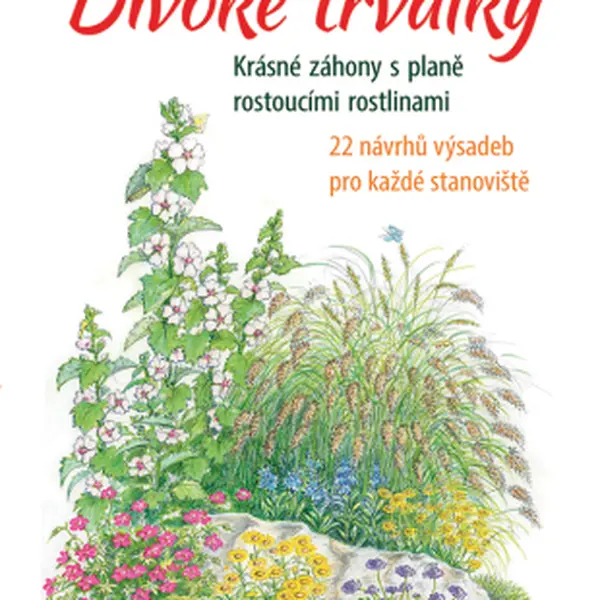 Divoké trvalky - Brigitte Kleinod, Friedhelm Strickler - e-kniha