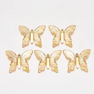 Transparent Acrylic Pendants