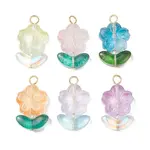 Glass Pendant