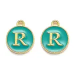 Golden Plated Alloy Enamel Charms