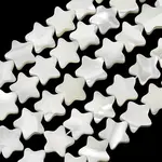 Natural Trochid Shell/Trochus Shell Beads Strands