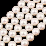 Electroplated Shell Pearl Beads Strands