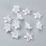 Acrylic Beads