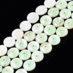 Natural Freshwater Shell Enamel Beads