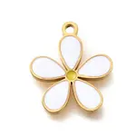 Brass Enamel Charms