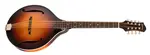 Eastman MDO305E-SB