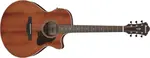 Ibanez AE140 OPN