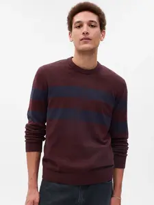 GAP  Pánský Svetr s pruhy 730479-02 Veľkosť: S