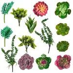 PVC Artificial Succulent Plant