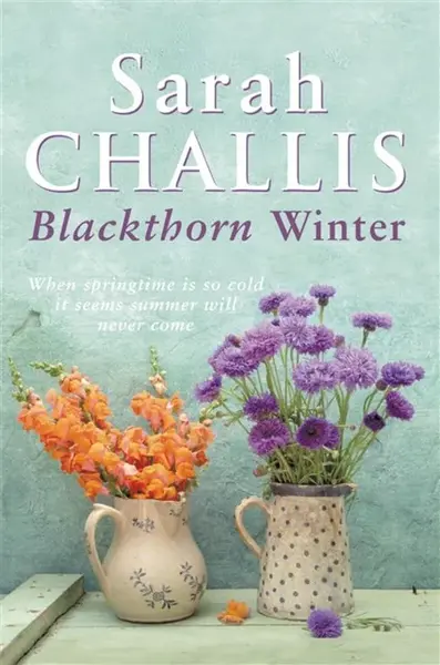 Blackthorn Winter - Sarah Challis