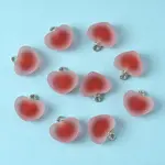 10Pcs Frosted Resin Pendants