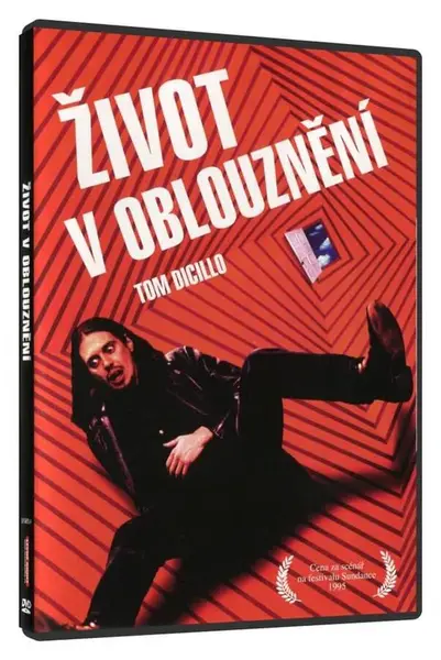 Život v oblouznění (DVD)