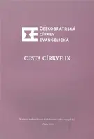 Cesta církve IX