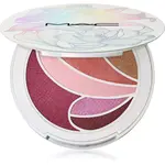 MAC Cosmetics Metamorphosis Spring Collection Face and Eye Palette paletka na tvář 8 g