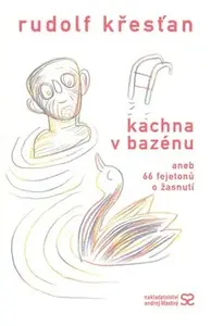 Kachna v bazénu (poškozená) - Rudolf Křesťan, Magda Křesťanová