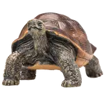 Želva obrovská figurka