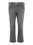 Jack & Jones Plus Džínsy 'Mike'  sivá