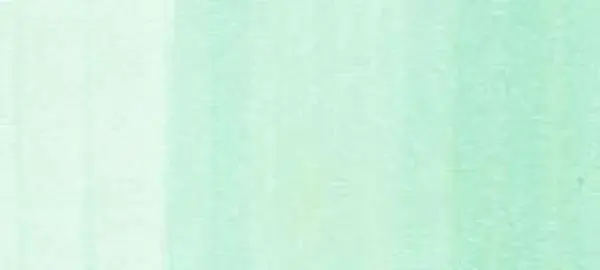 Copic sketch marker - G00 jade green