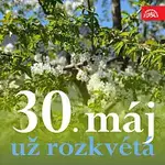 Různí interpreti – 30. máj už rozkvétá