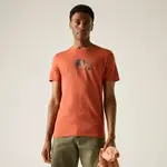 Pánské tričko regatta breezed hnědá xl