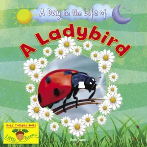 A Ladybird - Ruth Owen