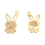 Brass Micro Pave Clear Cubic Zirconia Charms