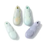 Natural Rainbow Alashan Agate Charms