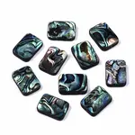 Natural Abalone Shell/Paua Shell Beads
