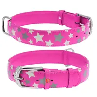 Plochý kožený obojok s hviezdičkami ružový svietiaci, Obvod krku: 19-25cm, šírka: 9mm