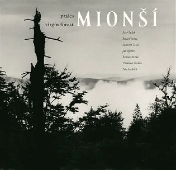 Prales Mionší (poškozená)