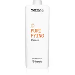 Framesi Morphosis Purifying čisticí šampon proti lupům 1000 ml