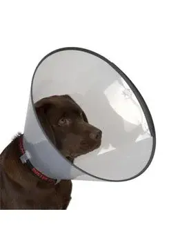 Límec ochranný Buster plastový Comfort Collar 12,5cm