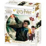 3D puzzle Harry Potter-Harry Potter 300ks