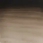 Akvarelová barva W&N 5ml – 609 Sepia