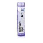 Sambucus nigra 30CH granule 4g