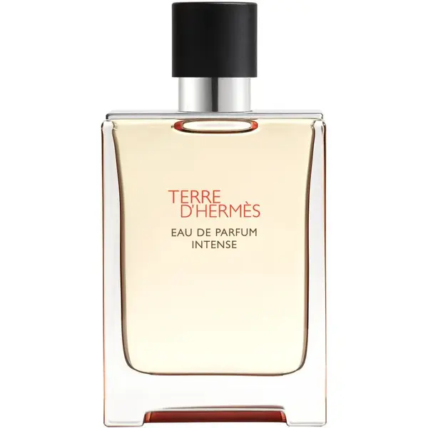 HERMÈS Terre d’Hermès Eau de Parfum Intense parfémovaná voda intense pro muže 100 ml