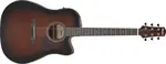 Ibanez AAD51CE-DVS