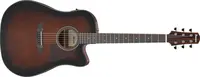 Ibanez AAD51CE-DVS