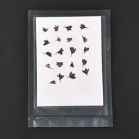 Cornflower Embossing Dry Flower