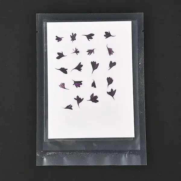 Cornflower Embossing Dry Flower