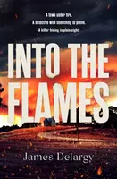 Into the Flames - James Delargy