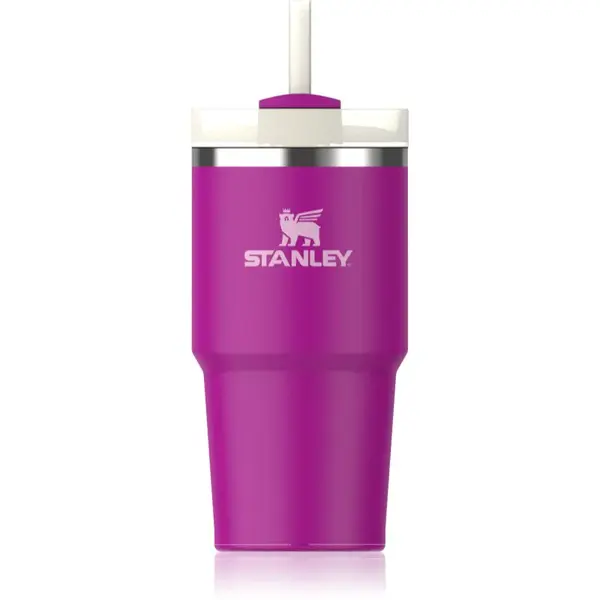 Stanley Quencher H2.O FlowState™ Tumbler tumbler z nehrdzavejúcej ocele s rúrkou malý Violet Blossom 600 ml