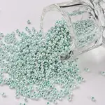 11/0 Grade A Ceylon Glass Seed Beads