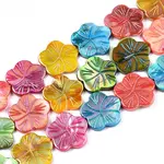 Natural Freshwater Shell Beads Strands