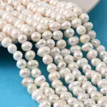 Natural Cultured Freshwater Pearl Beads Strands