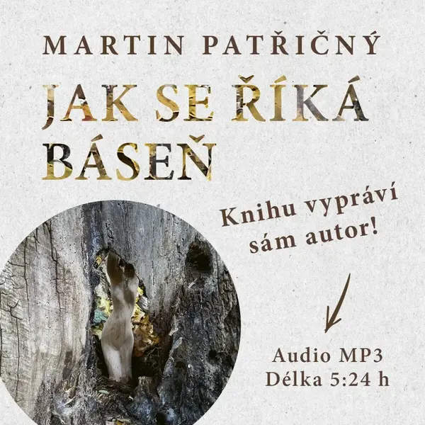 Jak se říká báseň - Martin Patřičný - audiokniha