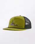 Patagonia Airfarer Cap Berm Logo: Graze Green